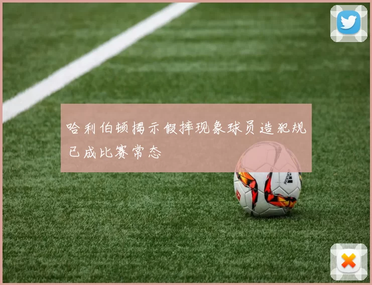 哈利伯顿揭示假摔现象球员造犯规已成比赛常态