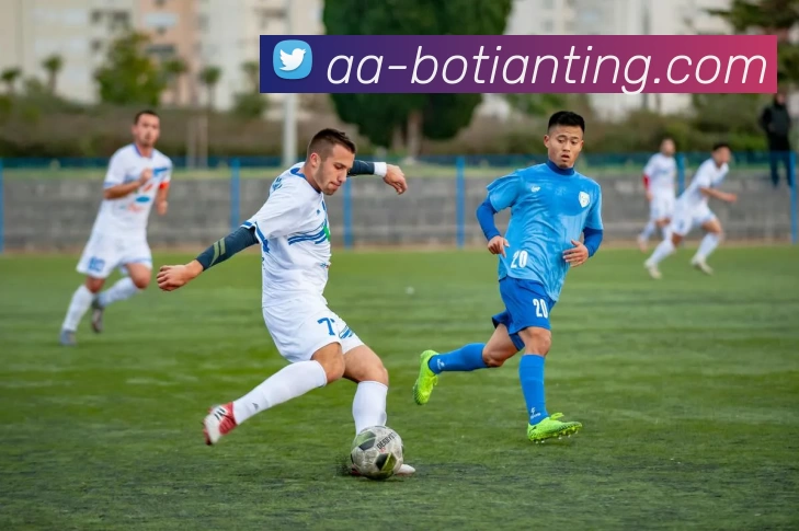 App Interface Preview