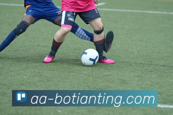 博天堂APP 封面图